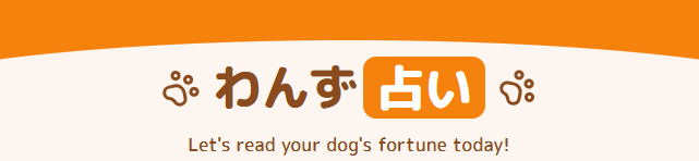 わんす占い